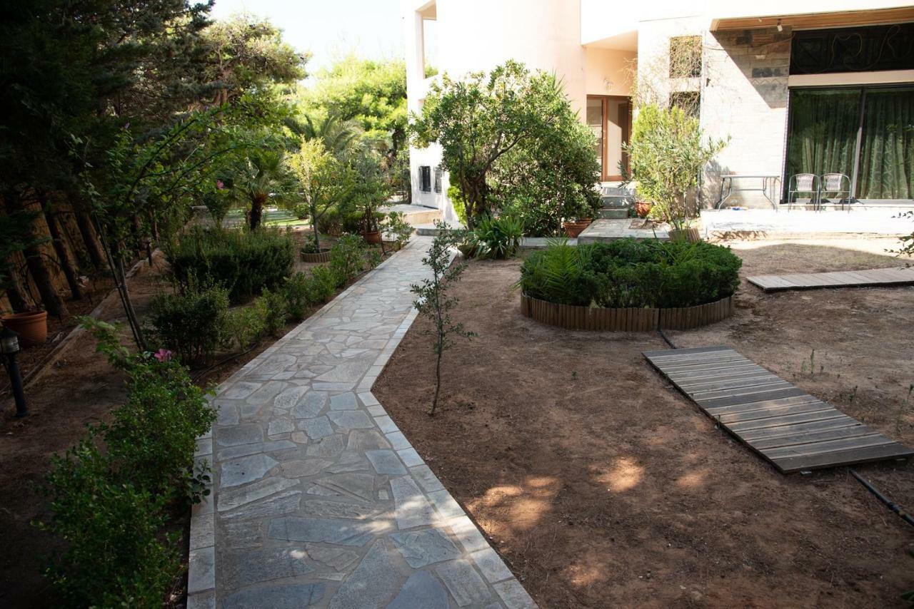 Cozy Loft 360O View Of Athens Apartment Екстериор снимка